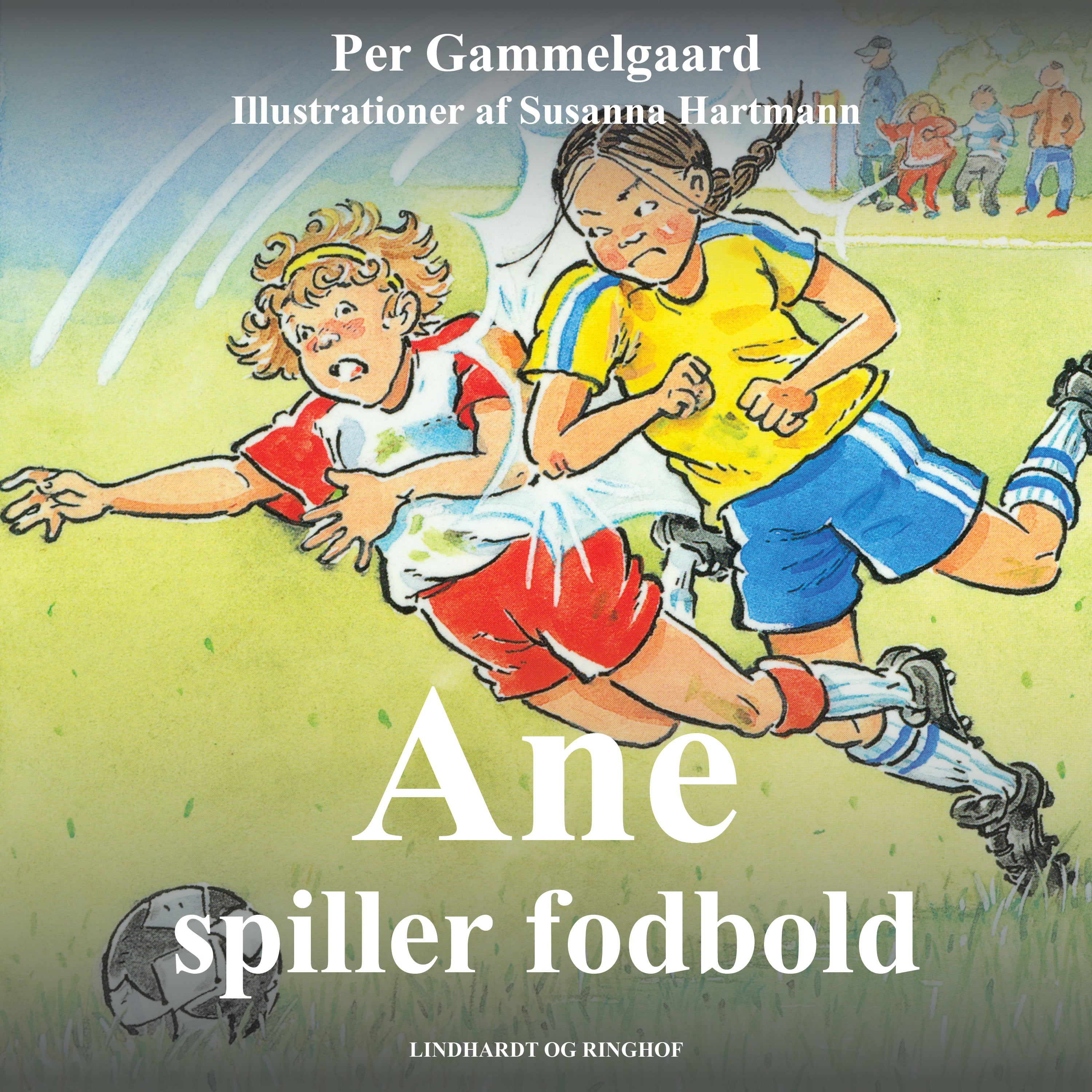 Forside billede